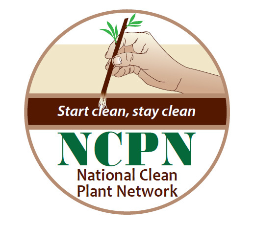National Clean Plant Network - USDA-APHIS